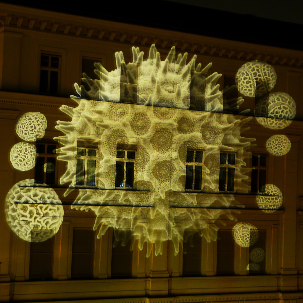 GUERILLA PROJECTION 