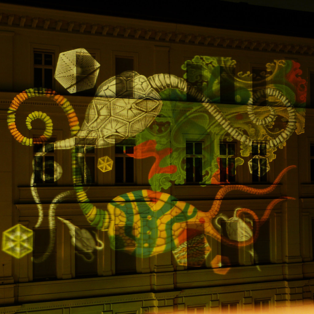 GUERILLA PROJECTION 